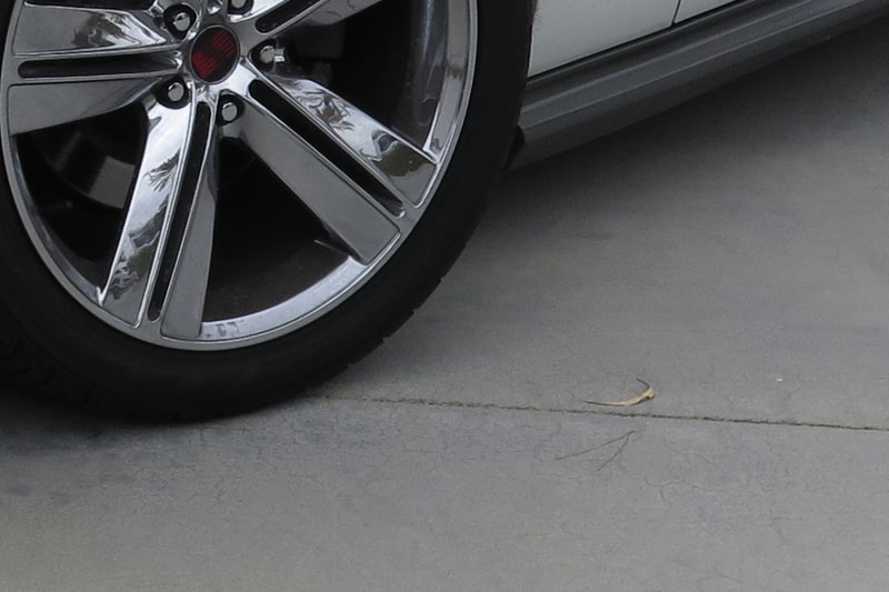 concrete-contractor-maintaining-concrete