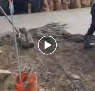 The Making of a Concrete Backyard Patio